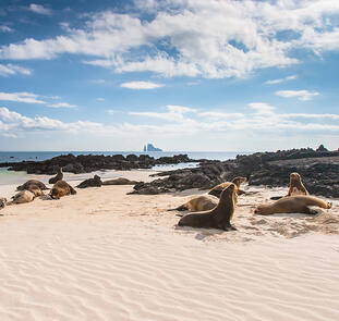 Ecuador und Galápagos zum Kennenlernen Ecuador und Galápagos zum Kennenlernen