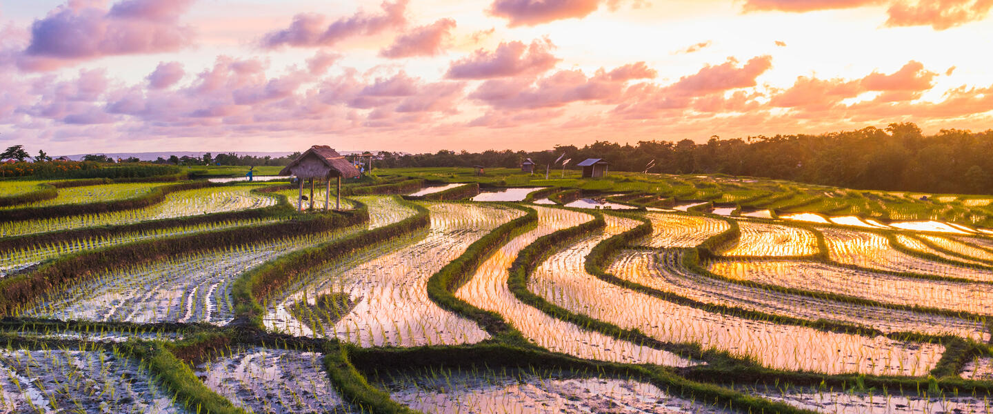 Bali - Naturwunder, Tempel und Meer