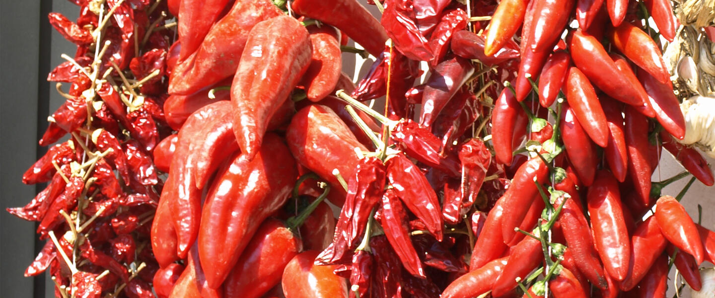 Kalabrien ─ Perle des Südens und Baden