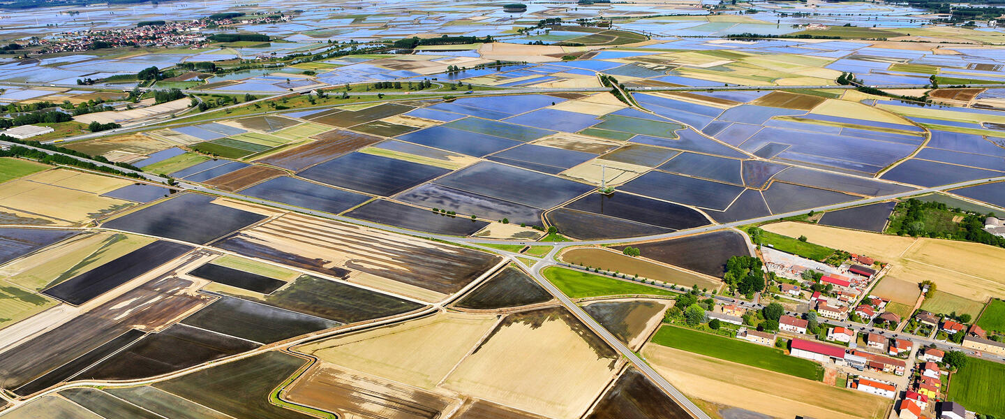 Piemont - ein genussvolles Erlebnis Piemont - ein genussvolles Erlebnis