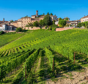 Piemont - ein genussvolles Erlebnis