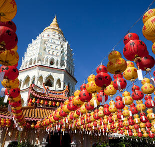 Naturparadies Borneo