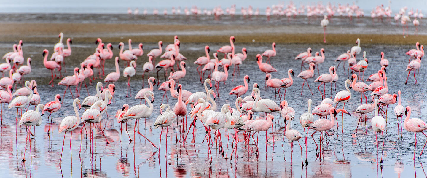 Namibia - Wildnis und Weite mit Flair