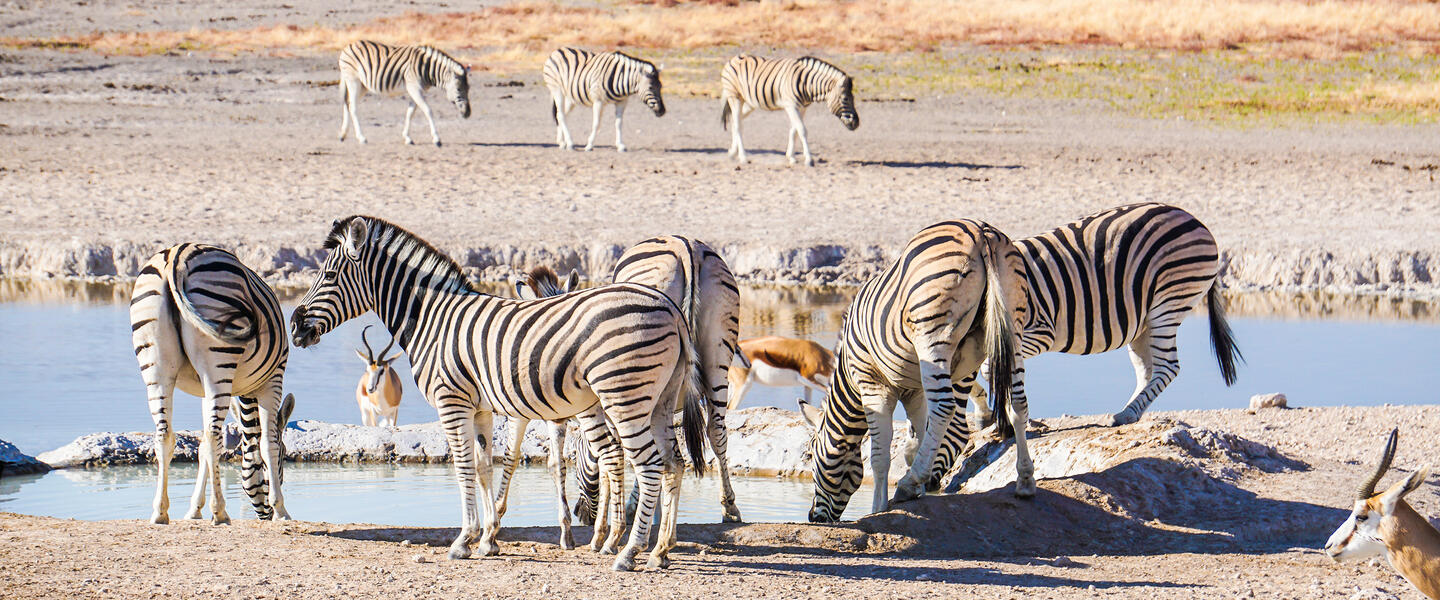 Namibia - Wildnis und Weite mit Flair