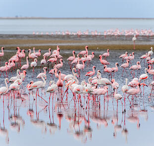 Namibia - Wildnis und Weite mit Flair Namibia - Wildnis und Weite mit Flair