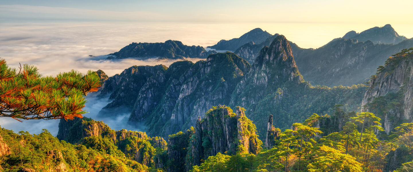 Trank Konfuzius Tee? Auf den Spuren des Tees von Beijing nach Shanghai