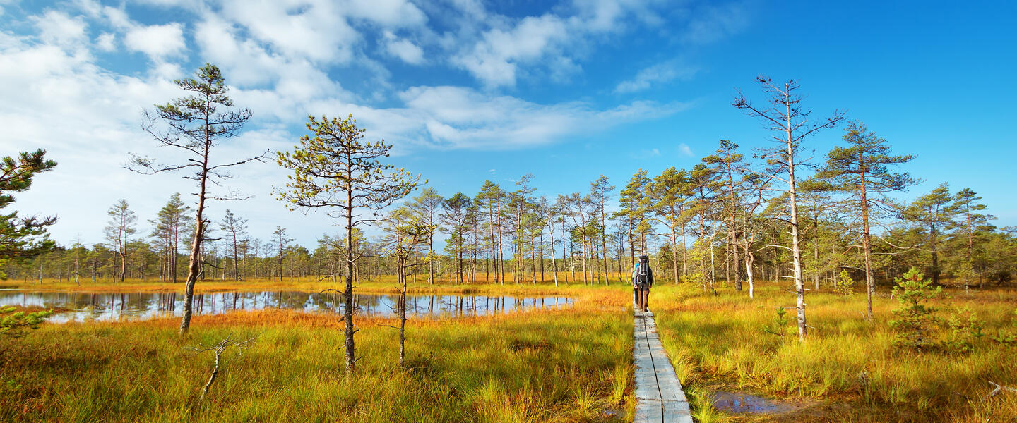 Estlands Inselwelten, Nationalparks und Moorlandschaften Estlands Inselwelten, Nationalparks und Moorlandschaften