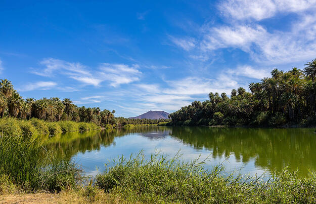 Baja California Sur - unbekanntes Naturparadies