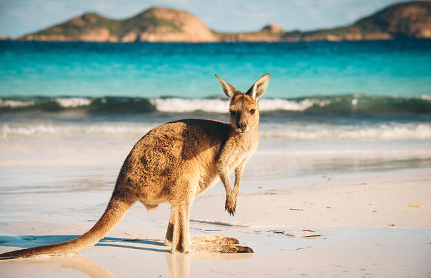 Australien in Style Australien in Style