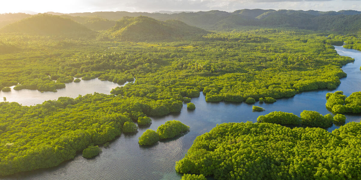 Abenteuer Amazonas