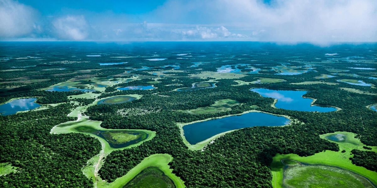 Pantanal