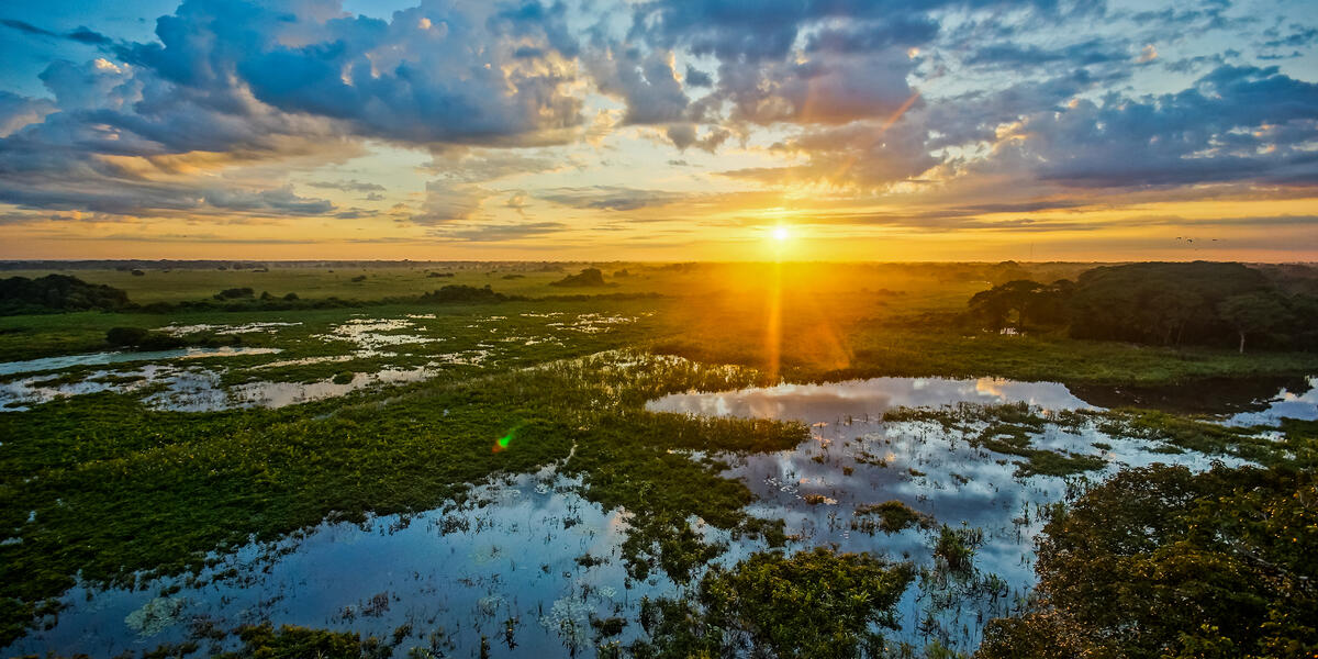 Pantanal