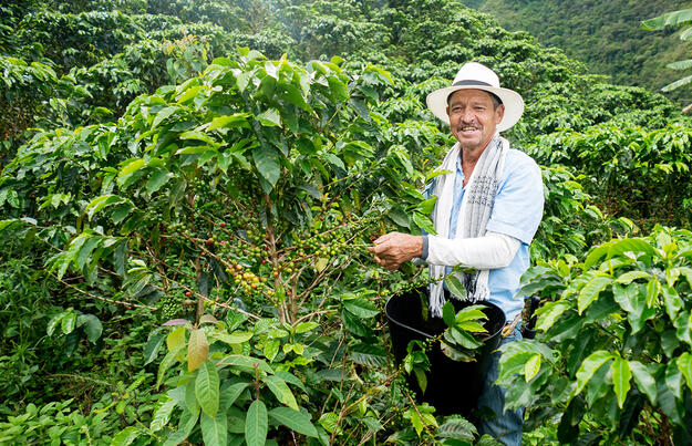 Kolumbien - Kaffeeduft und Karibikzauber
