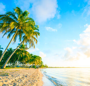 »Isla Majagua« »Isla Majagua«