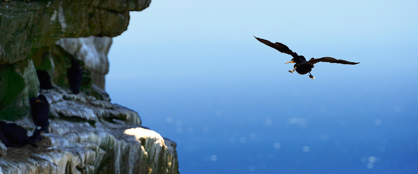 Südafrikas Süden erleben - von Port Elizabeth nach Kapstadt Südafrikas Süden erleben - von Port Elizabeth nach Kapstadt