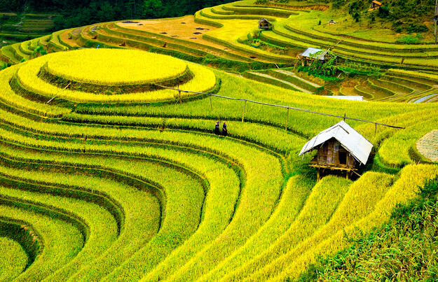 Charmantes Indochina für Genießer